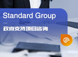 政府支持项目咨询